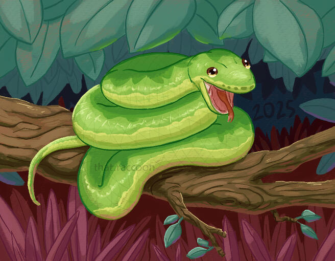Year of the Snake 2025